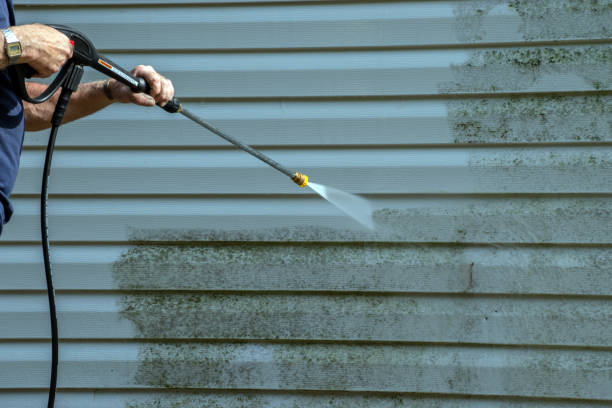 Best Garage Pressure Washing  in Westlake Vlage, IL