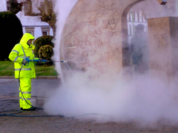 Best Best Pressure Washing Companies  in Westlake Vlage, IL