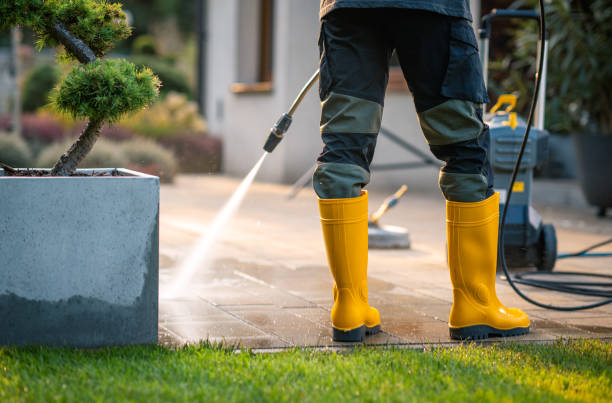 Best Pressure Washing Company Near Me  in Westlake Vlage, IL